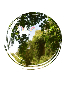 maglietta Unicorn Land