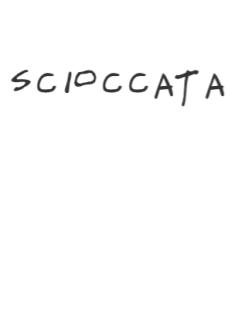 maglietta