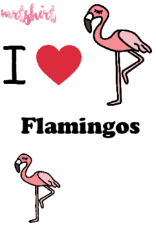 maglietta Flamingos