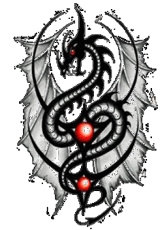 maglietta tribal dragon