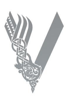 maglietta Logo Vikings