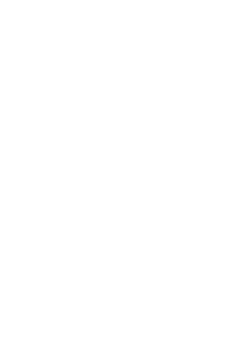 maglietta Biddizzi 