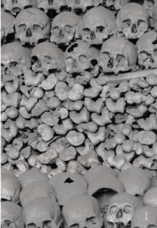 maglietta skeletons