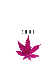 maglietta bhmg-purple weed