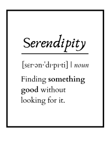 maglietta Serendipity