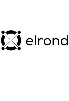 maglietta Elrond Project - LOGO