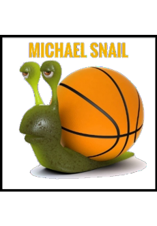 maglietta MICHAEL SNAIL T-SHIRT BOY