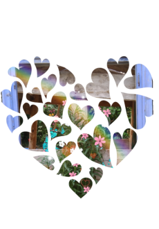 maglietta Heart flower