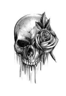 maglietta skull’n rose