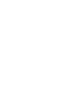 maglietta AVICII