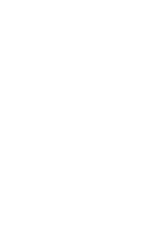 maglietta SNZ16 Logo2