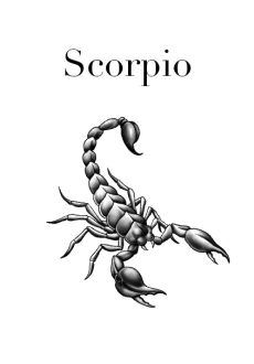 maglietta Maglia Scorpione