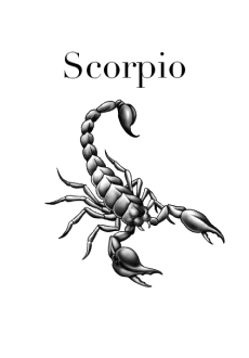 maglietta Maglia Scorpione 