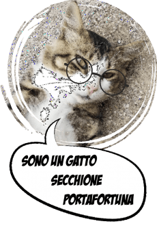 maglietta Gatto Portafortuna