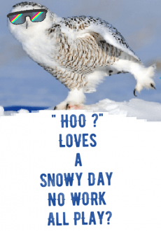 maglietta Hoo Loves a Snowy Day