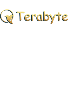 maglietta terabyte  colibrì  logo