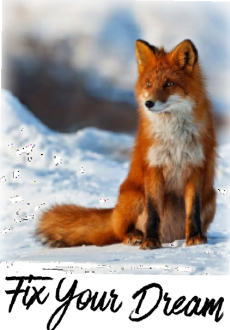 maglietta The Red Fox