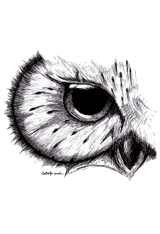 maglietta OWL