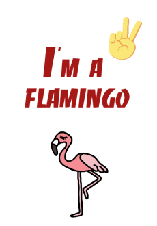 maglietta I'm a Flamingo