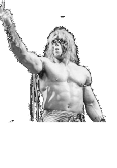 maglietta ultimate warrior