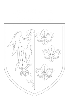 maglietta 33 Waffen SS Charlemagne