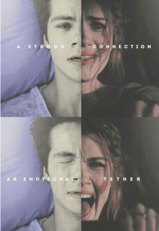 maglietta stydia