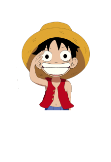 maglietta One Piece