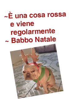 maglietta Babbo Natale