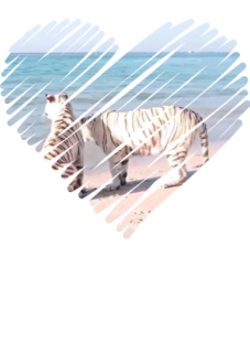 maglietta love you tiger