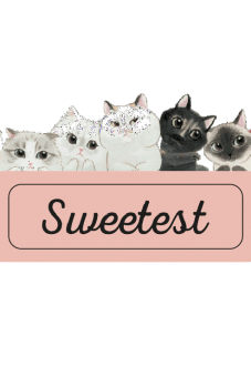 maglietta sweets cats