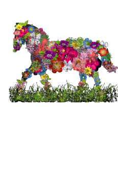maglietta flower horse