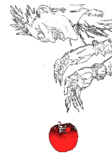 maglietta Ryukshirt