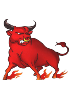 maglietta toro