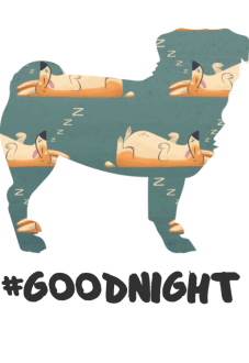 maglietta BUONANOTTE 