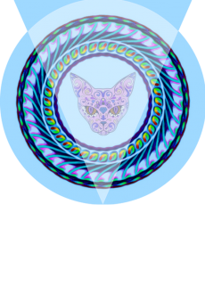 maglietta Cat fantasy 