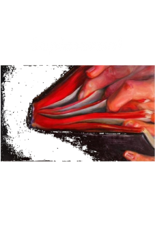 maglietta sapiosexual