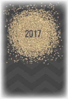 maglietta 2017