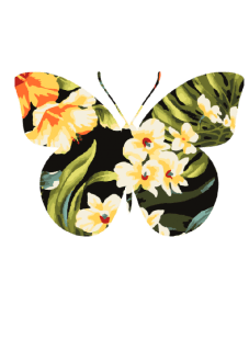 maglietta butterfly