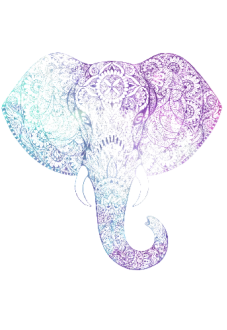 maglietta Mandala elephant