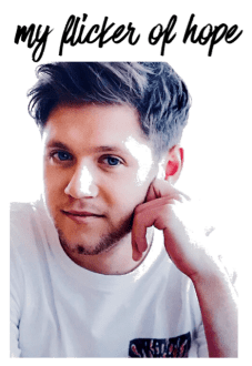 maglietta Niall Horan