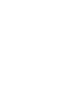 maglietta 100% honest