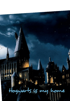 maglietta Hogwarts