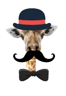 maglietta sir giraffa