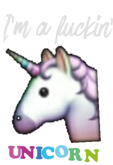 maglietta unicorn