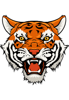 maglietta tigre