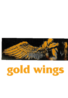 maglietta maglietta gold wings krewella