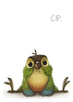 maglietta