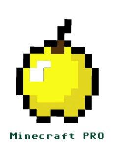 maglietta Minecraft PRO
