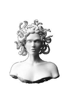 maglietta medusa 