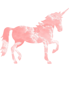 maglietta unicorland